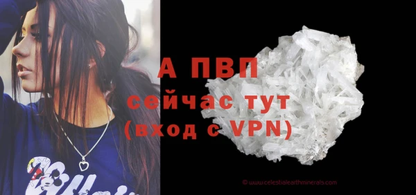 ECSTASY Липки