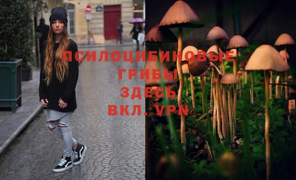 мяу мяу мука Волоколамск