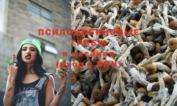 ECSTASY Липки