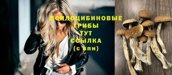 дмт Волосово