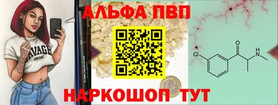 ECSTASY Новодвинск