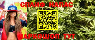 прущие грибы Новозыбков
