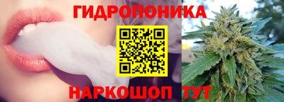 прущие грибы Новозыбков