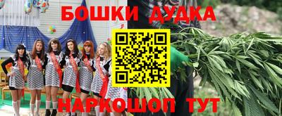 прущие грибы Новозыбков