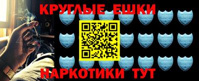 прущие грибы Новозыбков