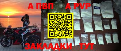 прущие грибы Новозыбков