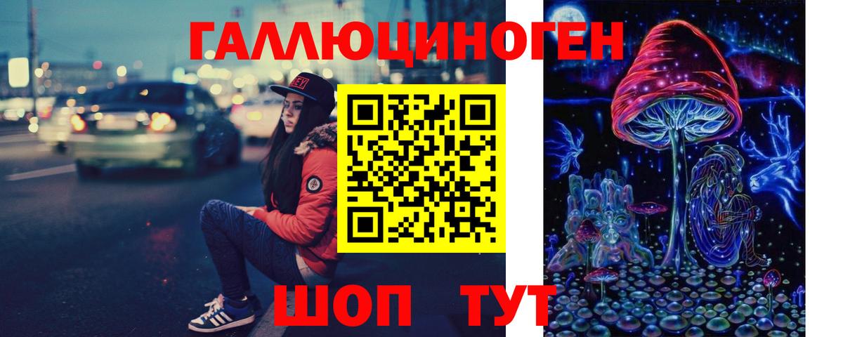 Псилоцибиновые грибы Psilocybine cubensis Моршанск